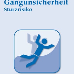 Flyersehrie Risikoberateung: Sturzpävention