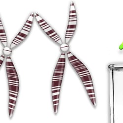 Chromosomen 4