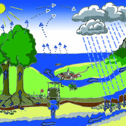 Wasserkreislauf