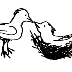 Vogel-Liebe