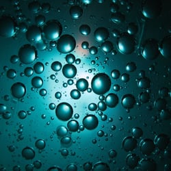 Bubbels