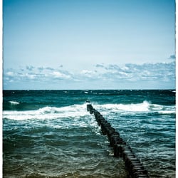 Landscapes
