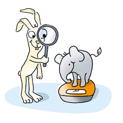 Gewicht und Besonderes