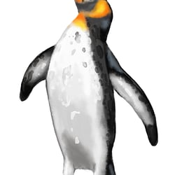 pinguin