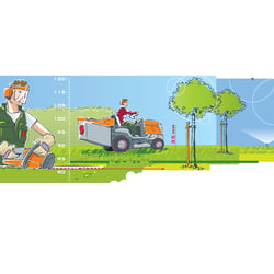 Illustration – Seitz