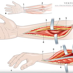 7. Medizinillu