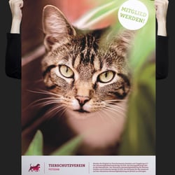 Corporatedesign Tierschutzverein Potsdam