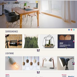 http://uni-for.me / debut in 2013