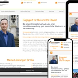 wordpress, elementor, php, javascript, html&css