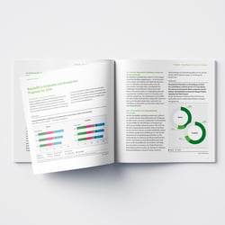 »Stadtgold – Baustofflager der Zukunft« | Innenseiten