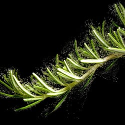 Foodfotografie – Portraithaus Worms
