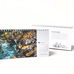 Tischkalender / MPIMM