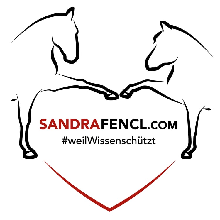 Sandra Fencl