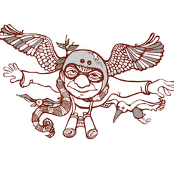 Der fliegende Ornithologe