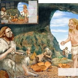 Geolino extra, Der Neandertaler