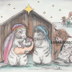 Chinchilla Krippenszene