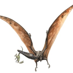 Pterodactyl