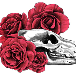 Schädel eines Bären mit Rosen