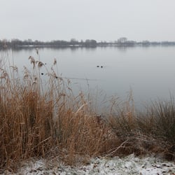 schnee