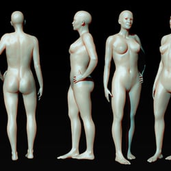 Female Anatomy studio