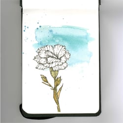 Florale Motive, Aquarell, watercolor