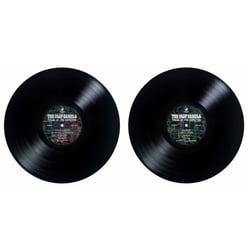 The Fast Camels – Tales Of The Expected / Vinyl LP – Magic Optician Records