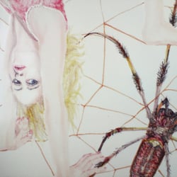 Im Netz / In the Web Detail