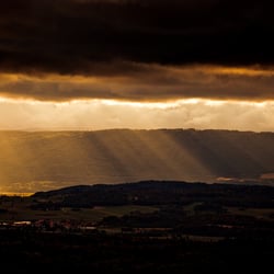 rays of sunshine