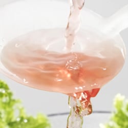 Frisches Dressing