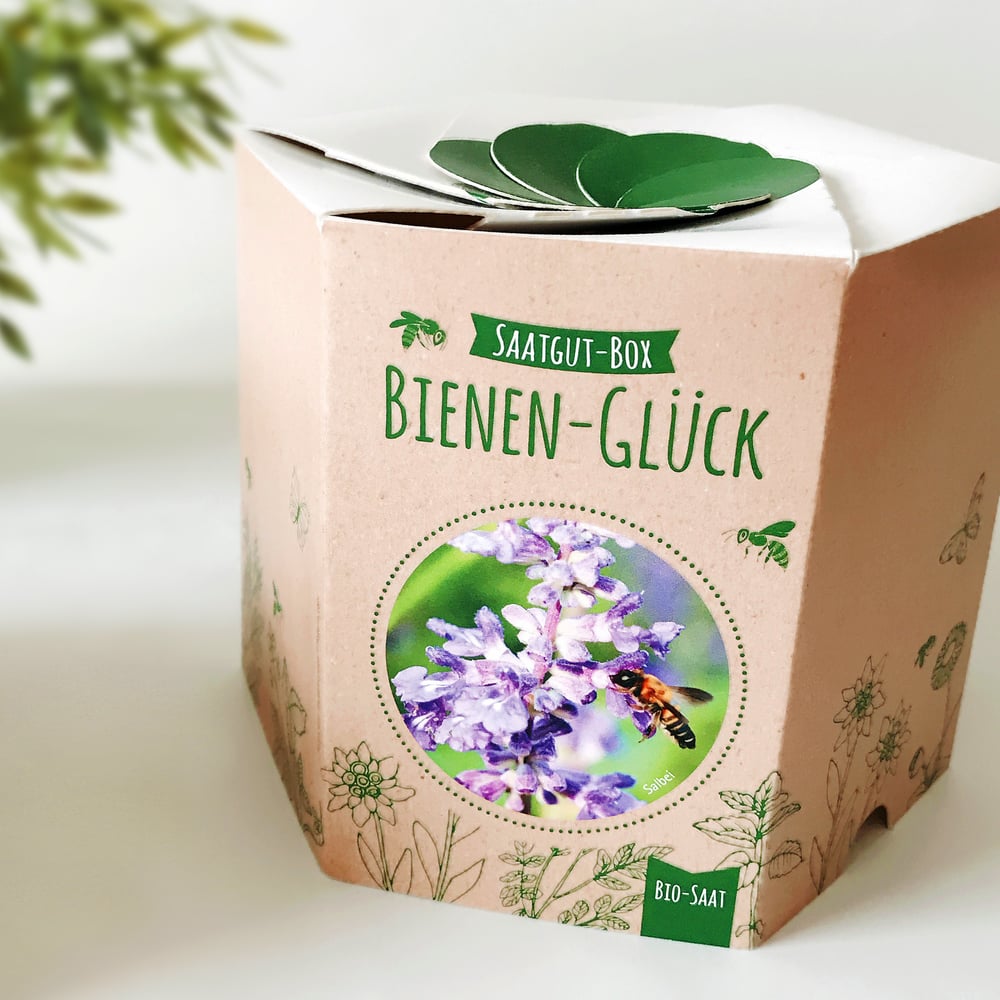 Bienen-Glück