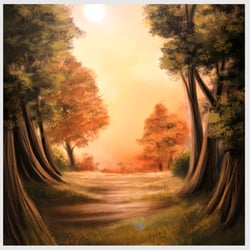 Warm forest