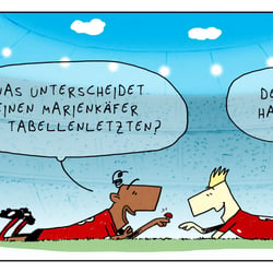 Punktevergleich