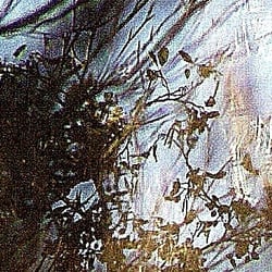 Hallig-Krimi