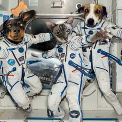 Space-Force