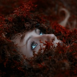 Fantasy