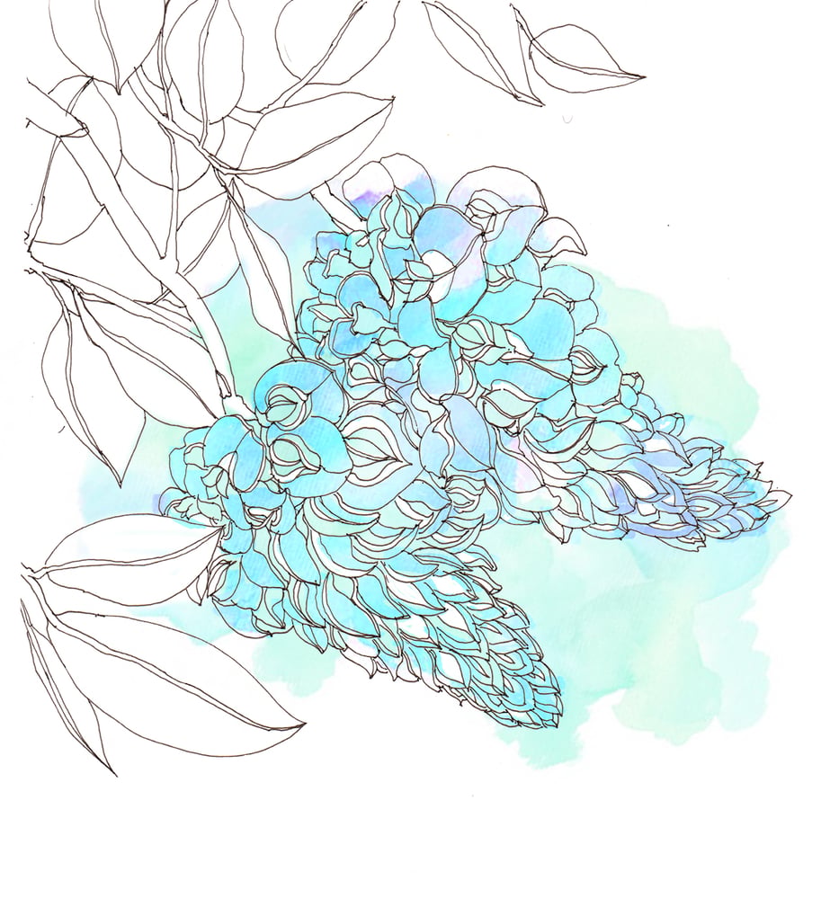 Wistaria