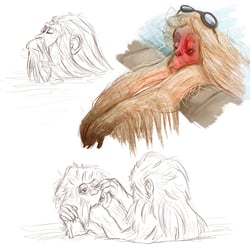 Character Design Affen