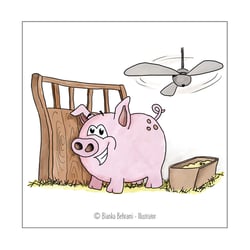 Schweinestall-Ausstatter