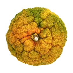 Pomeranze
