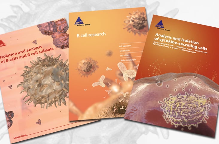 Print: diverse Flyer eines Biotechunternehmens
