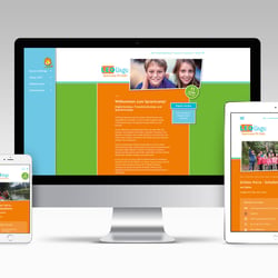 Responsive Website