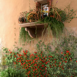 Julias Balkon
