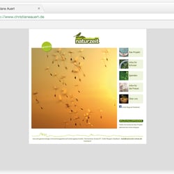 Website (statisch)