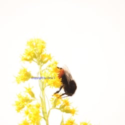 Nature 2014 Foto Übung
