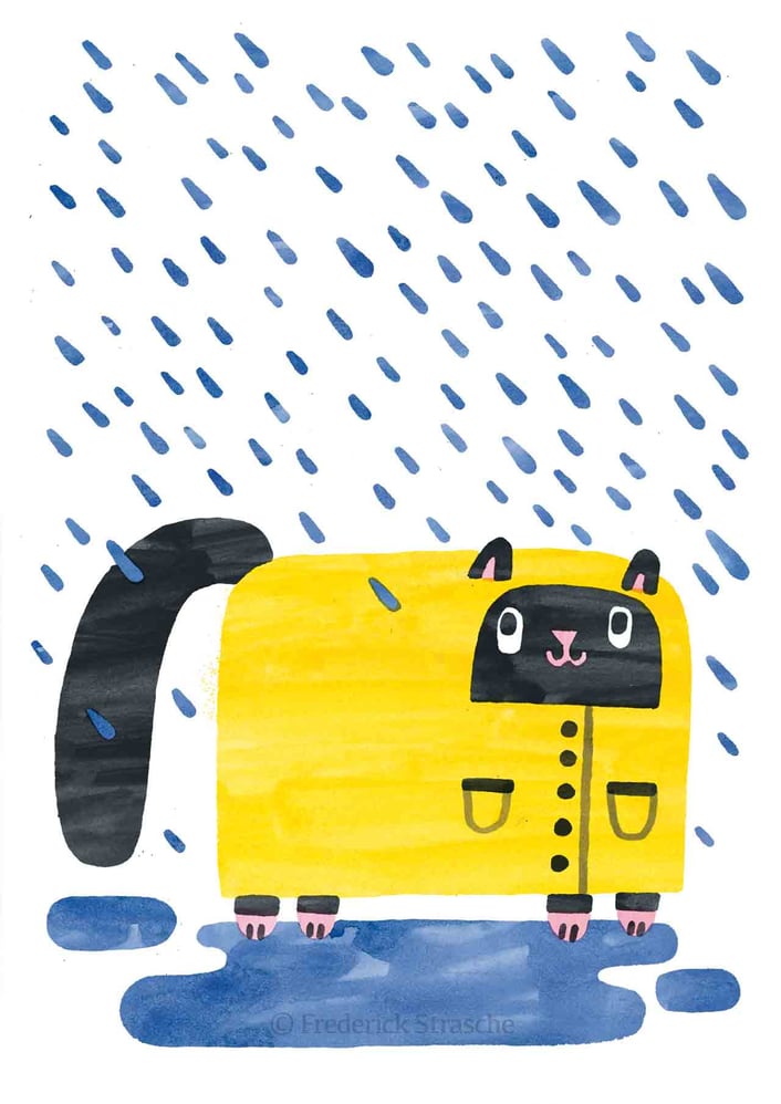 Regenkatze