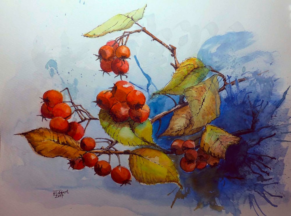 Beeren im Herbst