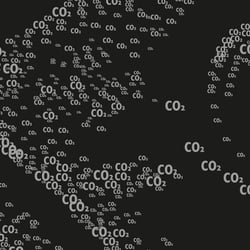 2050 (DETAIL)