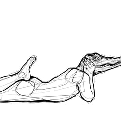 Crocodile