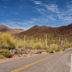 Saguaro Park West