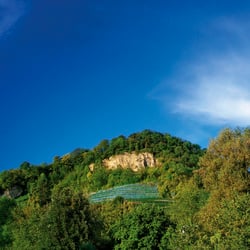 Der Grenzacher Hornfelsen